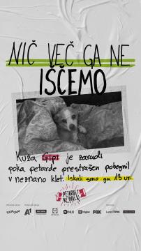 Petarde - Ne, hvala! 4